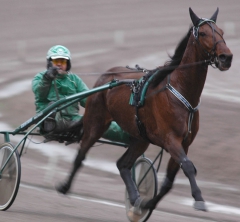 Random Shot 160128-1